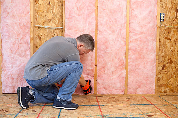 Best Energy-efficient Insulation  in Moosic, PA