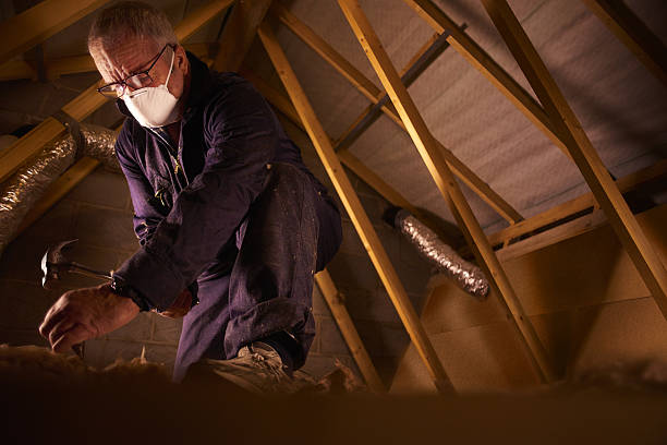 Best Local Insulation Services  in Moosic, PA
